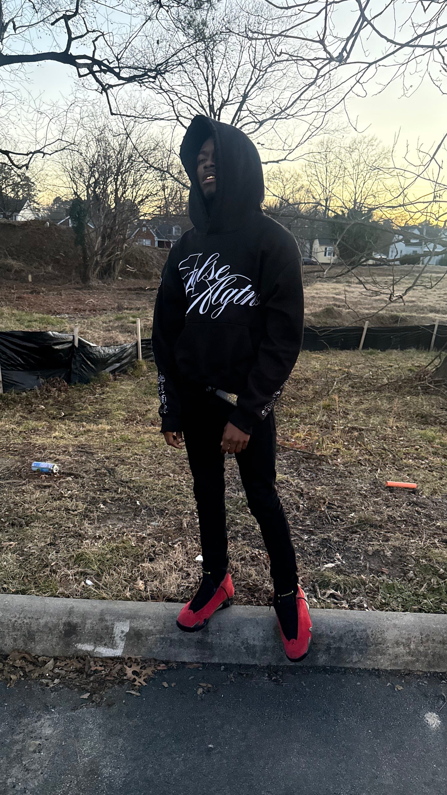 "Scripted Lies" Hoodie